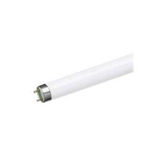 TUBO FLUORESCENTE 36W 6400K ECONOMICO HOMEPLUSS