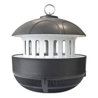 TORNILLO DIN 603/934 5X50 ZN (CENTENAS)