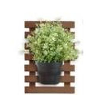 CELOSIA BIRDY BANKIRAI 40X57CM ESP 38 MM