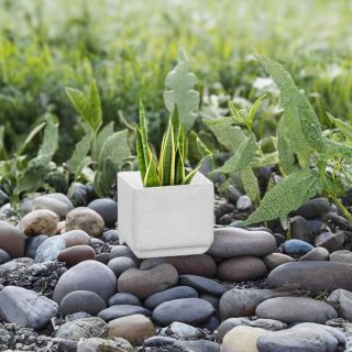 Maceta Milan Blanca Cubo 20x20cm Terra Verde