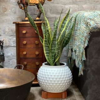 Maceta Mumbai Blanca Redonda 24x22cm Terra Verde