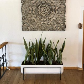 Maceta Jardinera Praga + Soporte Blanca Rectangular 60x20cm Terra Verde